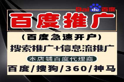案例分享：SEM竞价代运营助力电商增长